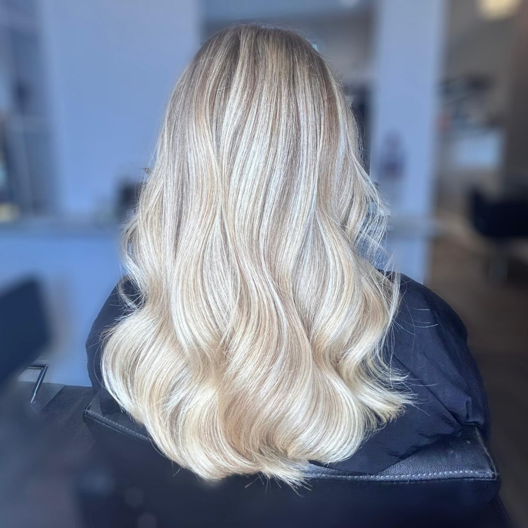 T Section Highlights (inc toner)